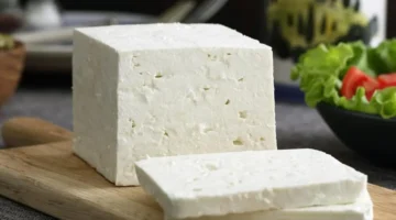 الجبنة ومركباتها كيف تثير الشعور بحالة تشبه الإدمان في الدماغ؟ 1